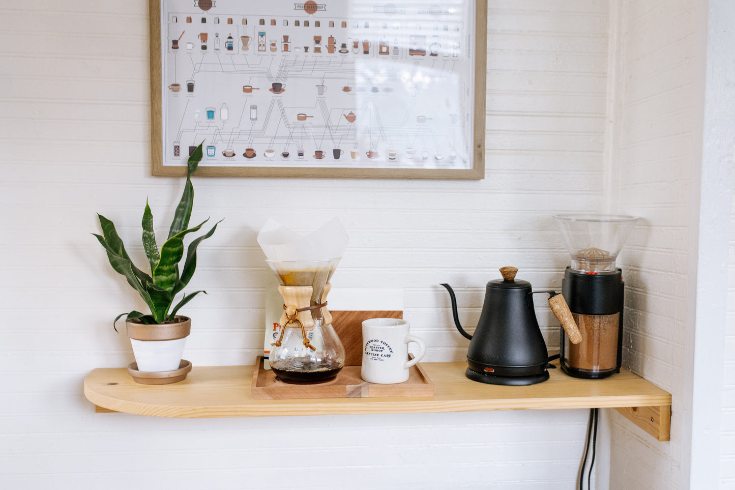 Chemex Tray